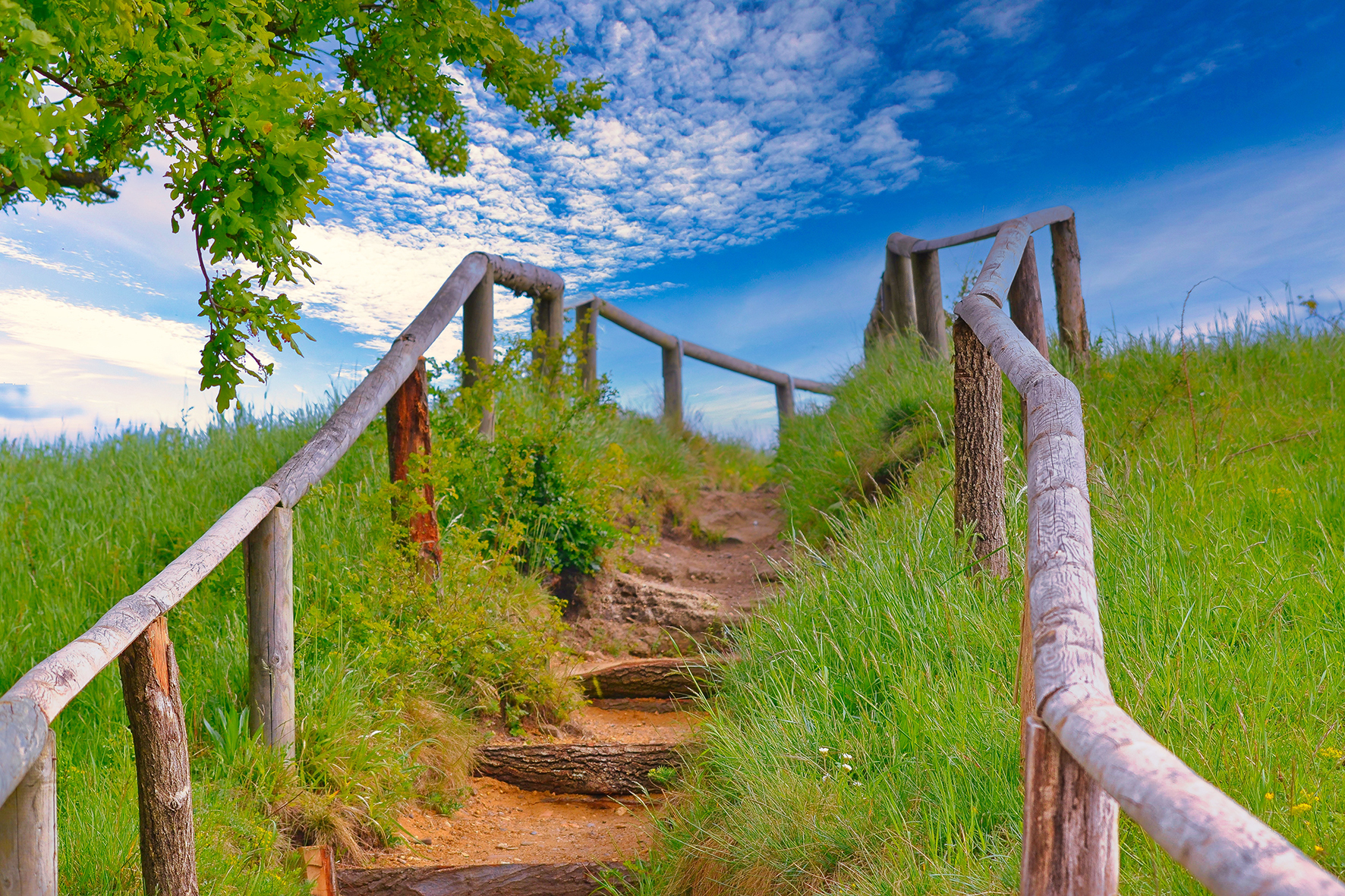 Die Jakobswege in Westfalen führen Pilger auf historischen Routen durch die Region.