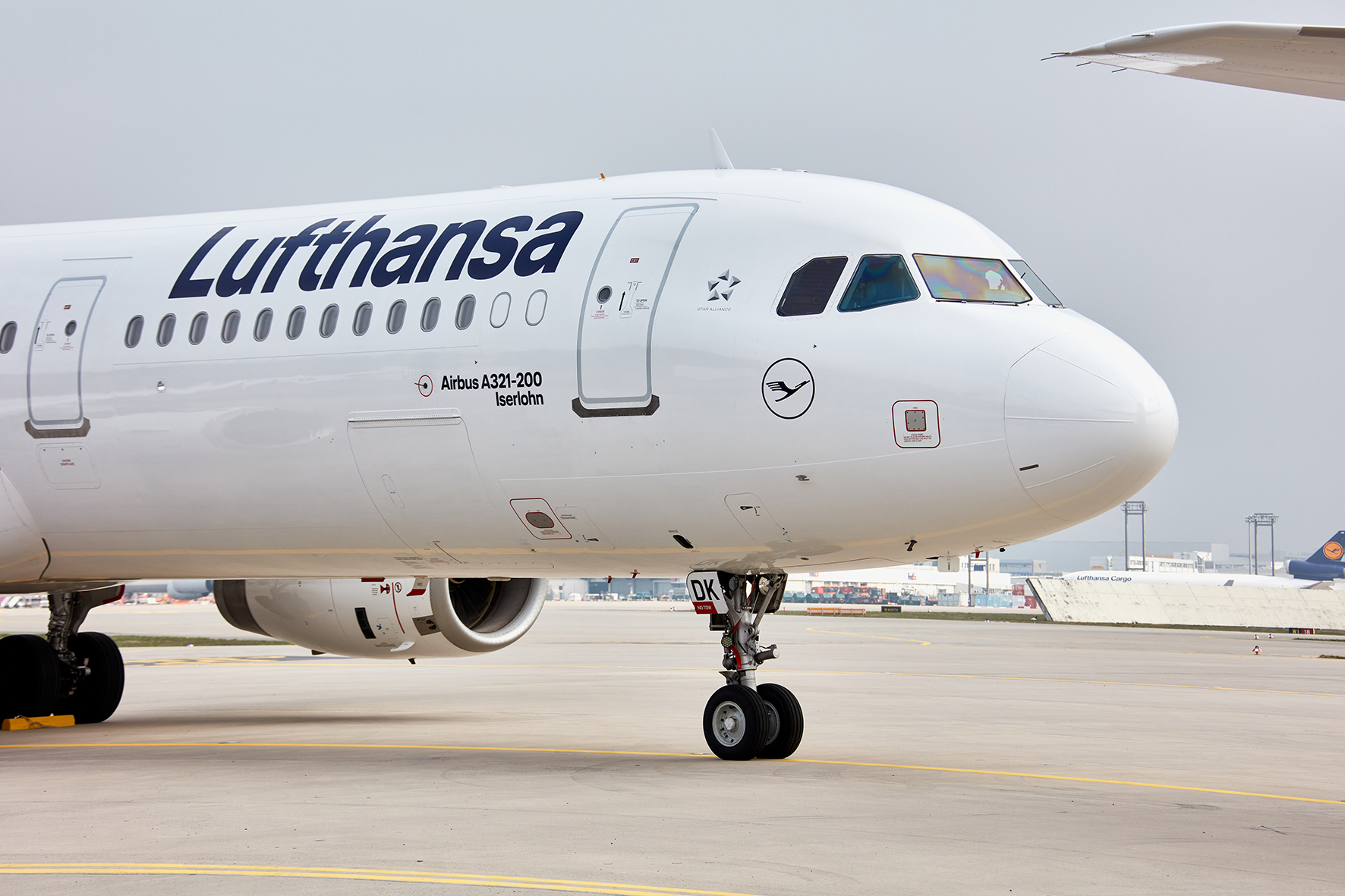Flugzeug-Partnerschaft