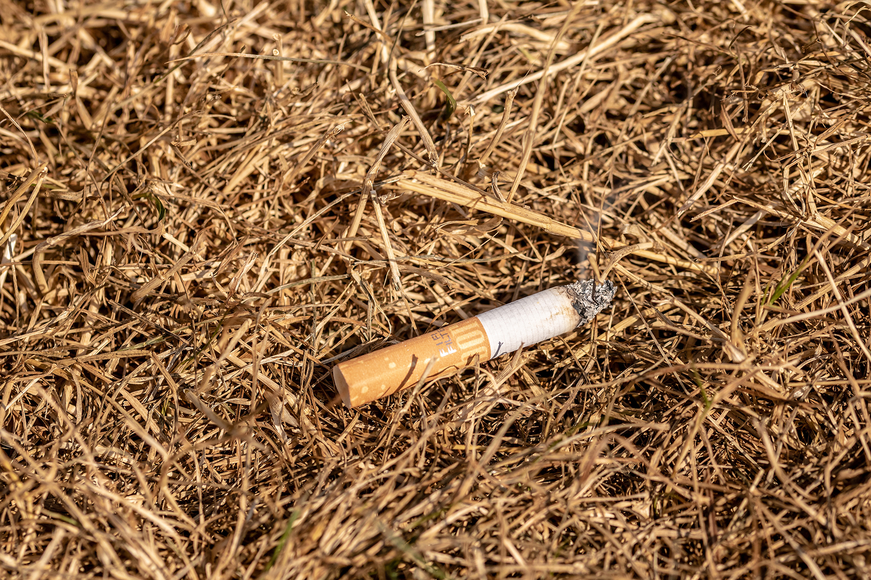 Zigarettenkippen können auf trockenen Grasflächen Brände verursachen. 