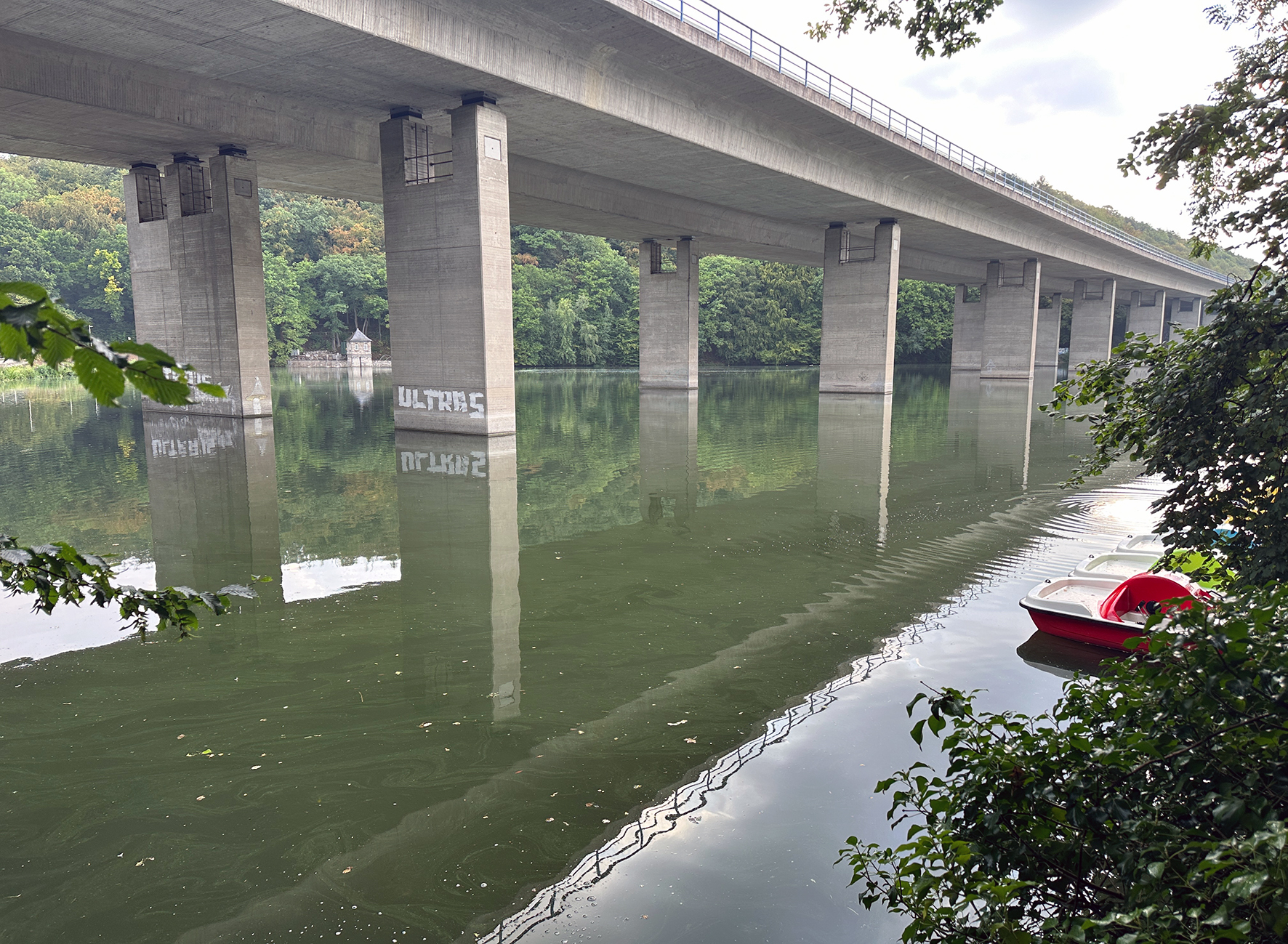 Eine Begehung der Abteilung Stadtentwässerung der Stadt Iserlohn lässt vermuten, dass sich womöglich wieder Blaualgen, auch Cyanobakterien genannt, im Seilersee vermehrt haben.