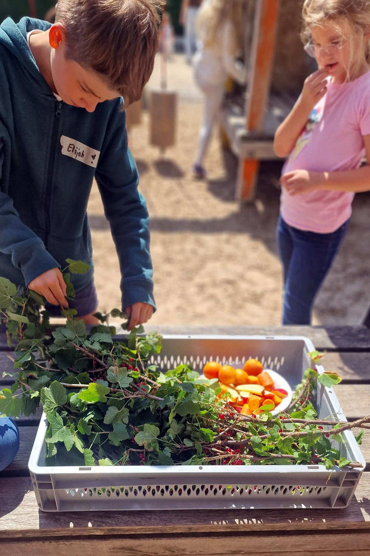 Die Kinder kümmerten sich unter anderem um heimisches Gemüse.