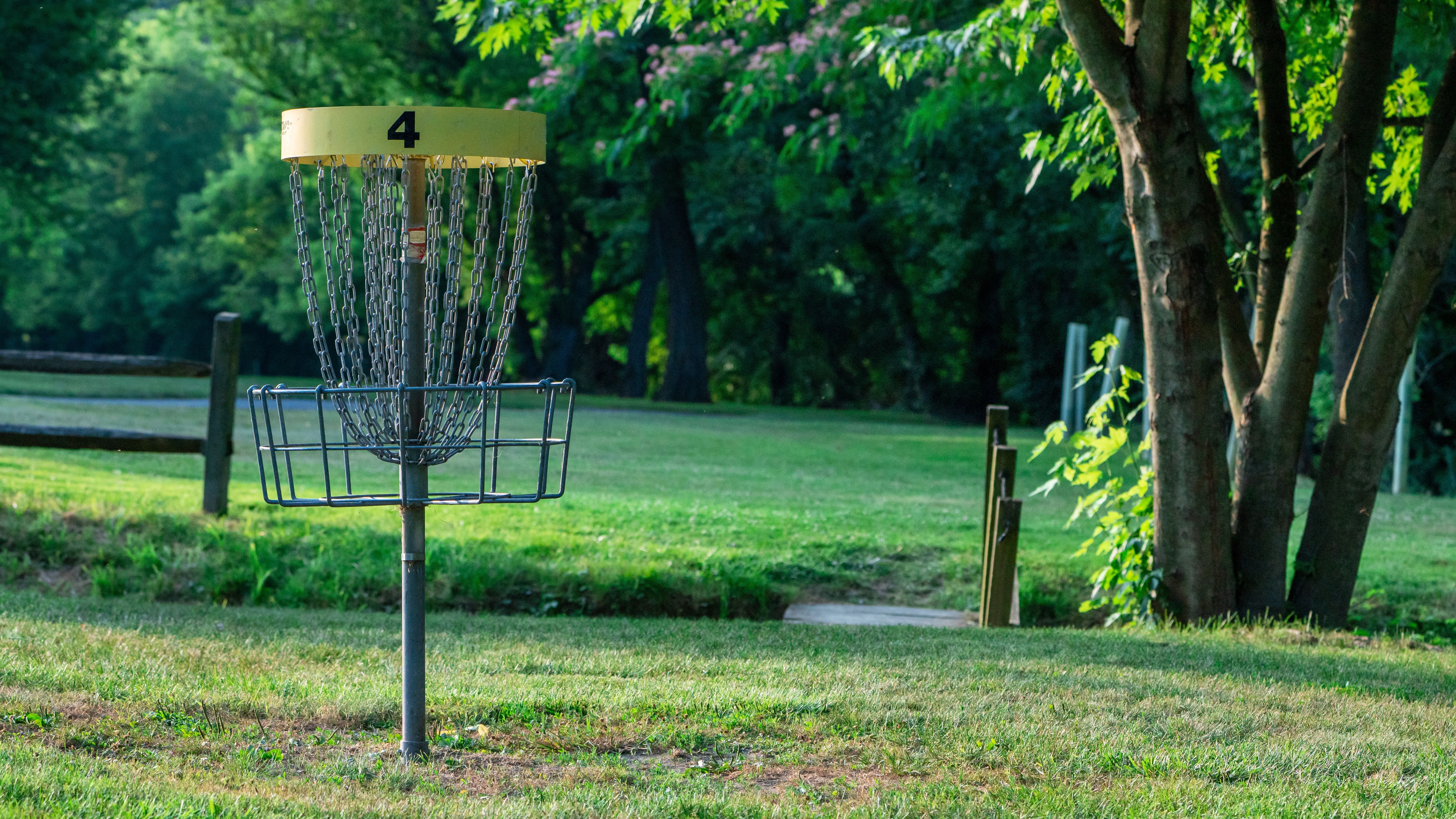 Disc-Golf