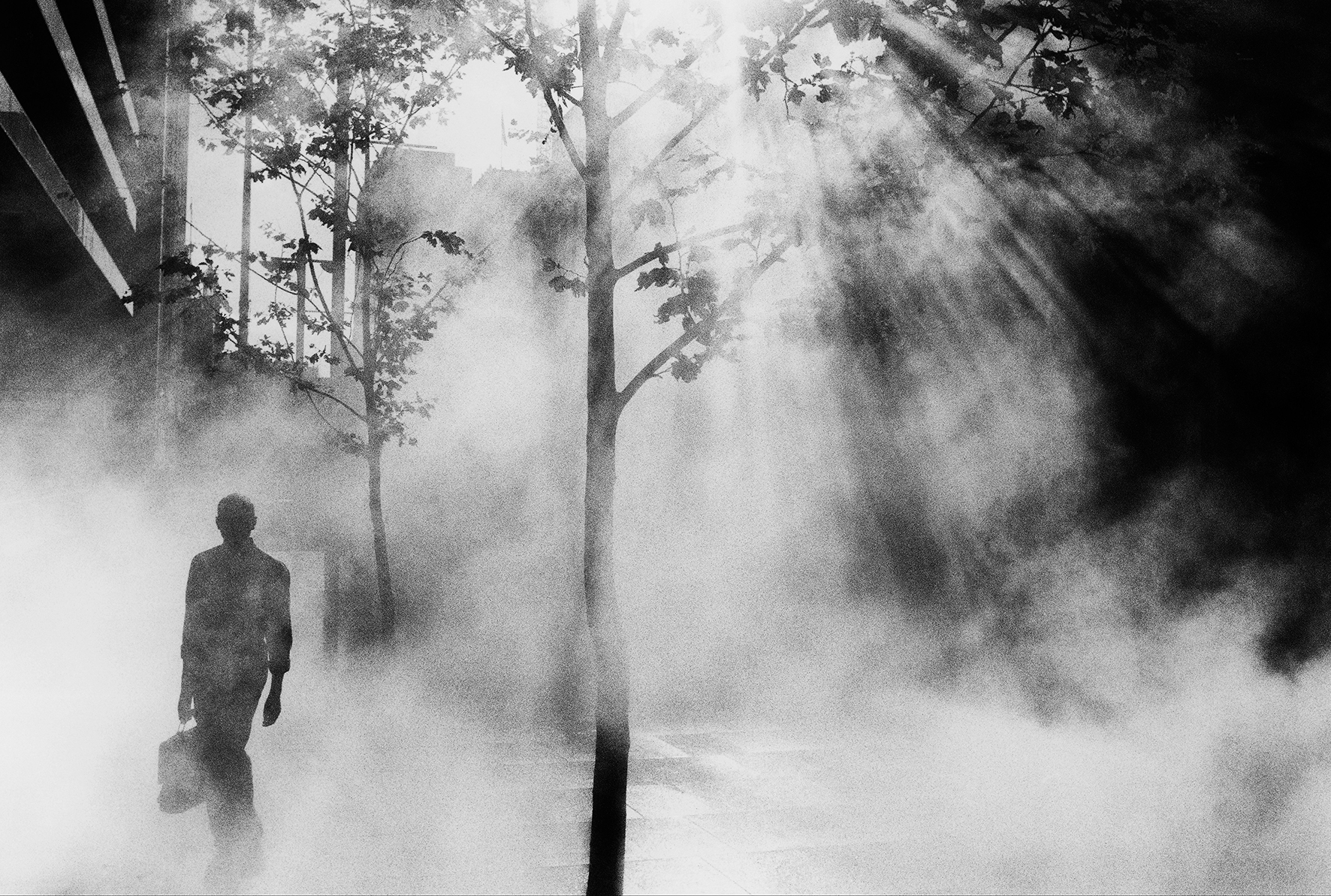 Ausstellung "Trent Parke. Monument"