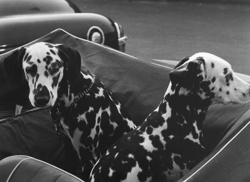 Louis Stettner - Fifties Graffiti, New York 1954 ©Estate Louis Stettner 